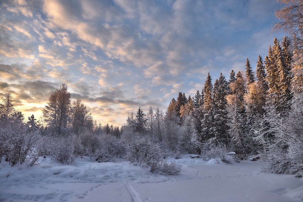 Фотография автора Вадим Белов