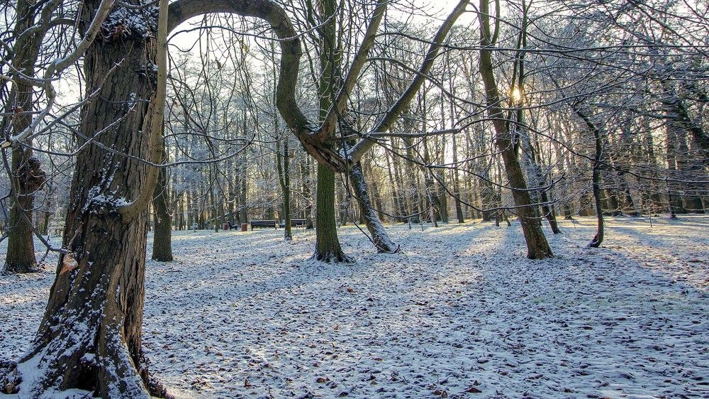 Первый снег