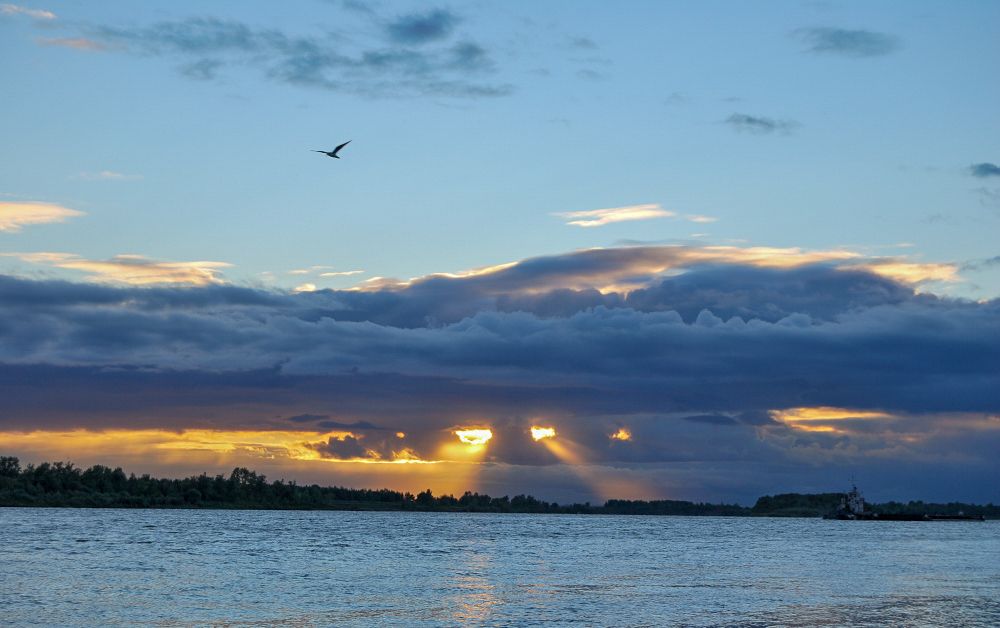 Небесный взгляд