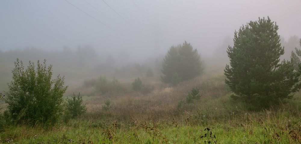 Туманное утро.