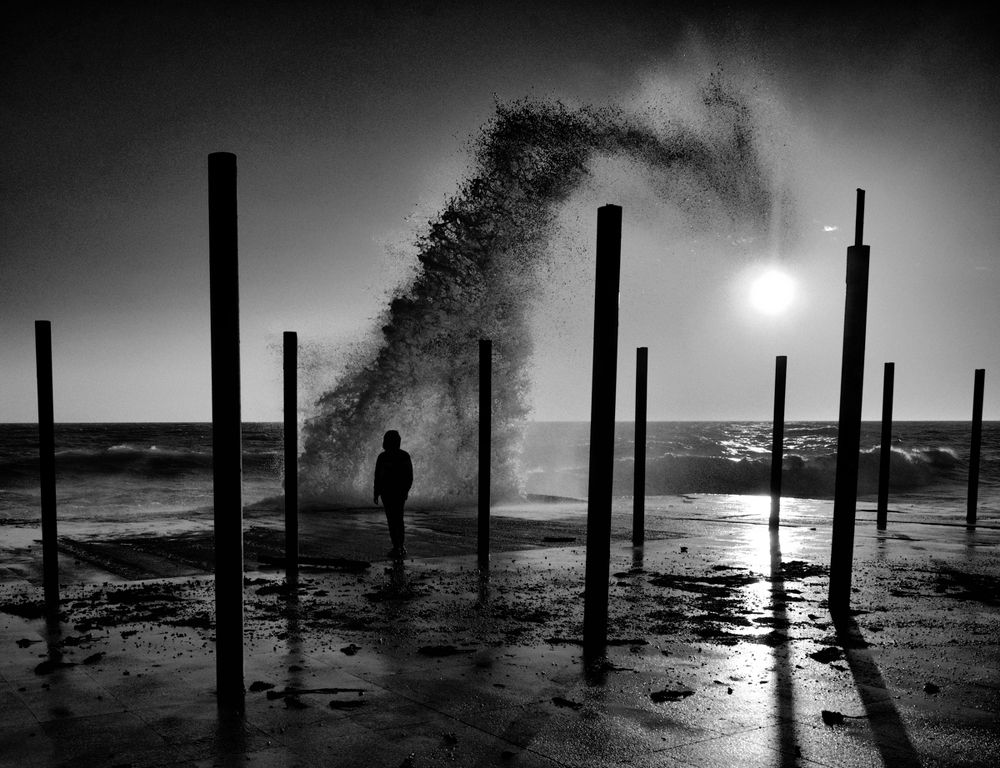 Морской язык