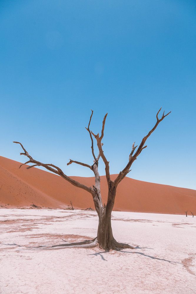 The Nature on earth has call for those who listen,