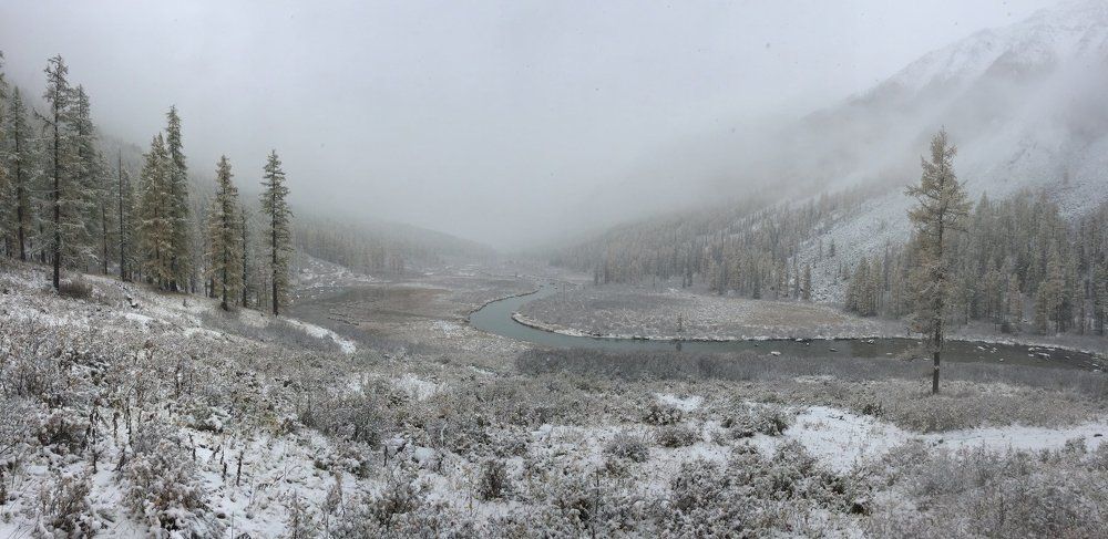 Первый снег