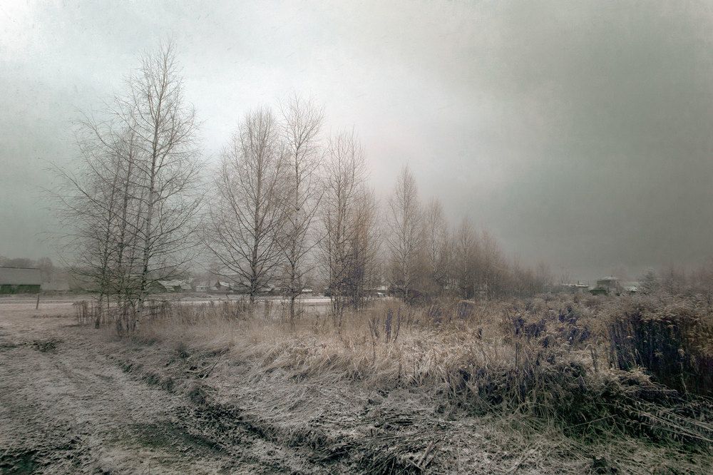 Первый снег