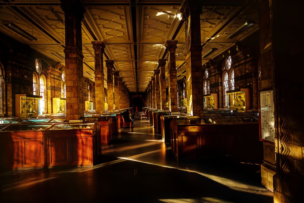 Photograph by Dmitriy Strotskiy