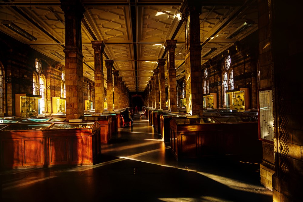 Photograph by Dmitriy Strotskiy