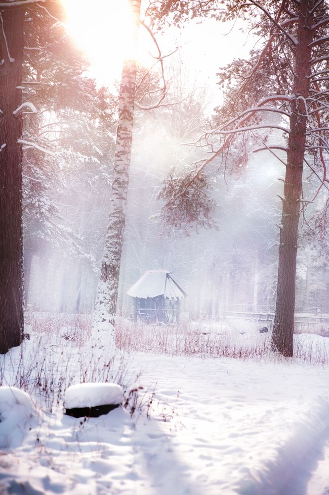 Photograph by Dmitriy Strotskiy