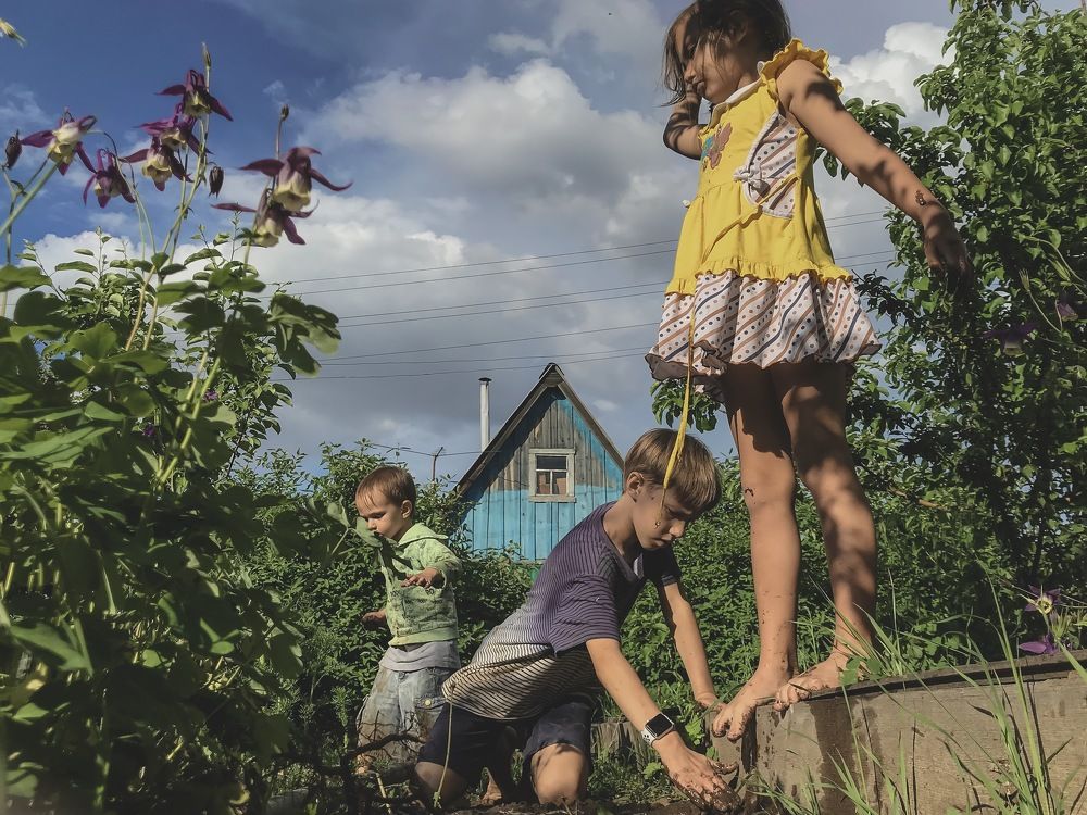 Трое на даче