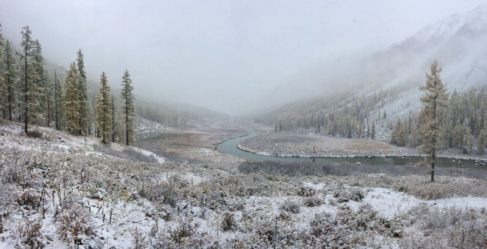 Первый снег на Шавле