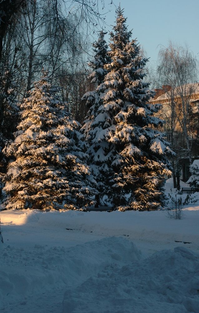 Зимнее утро