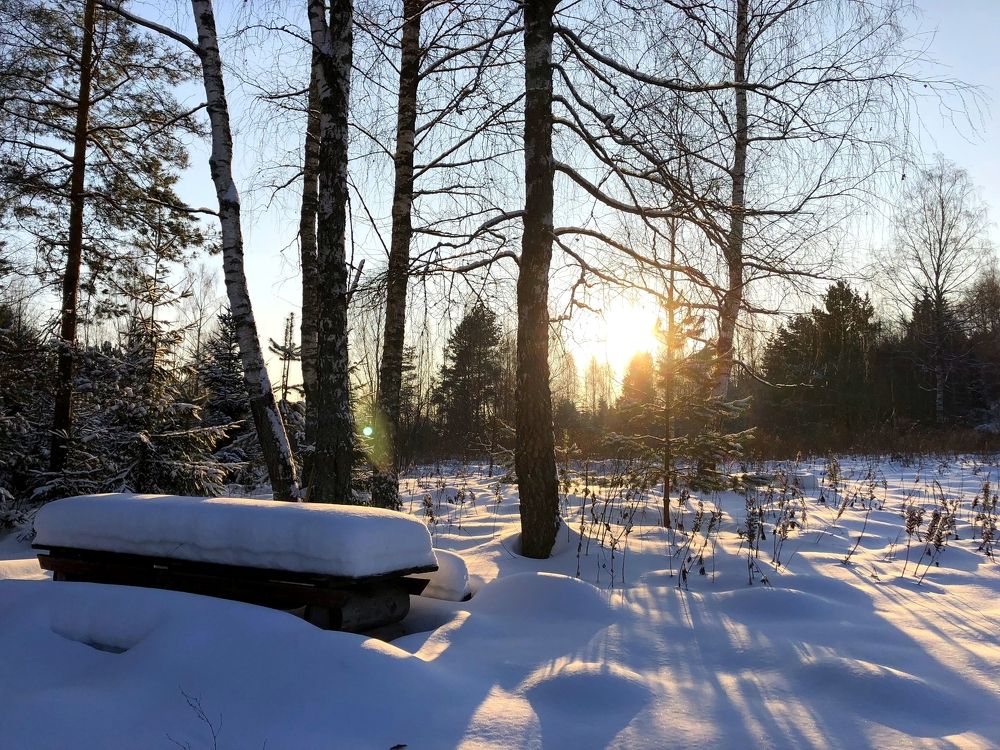 Photograph by Галина