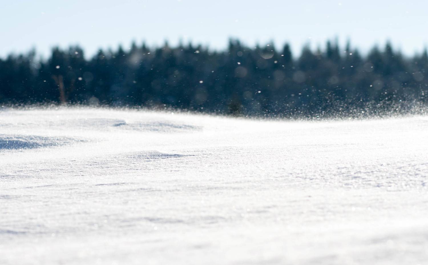 Snowstorm