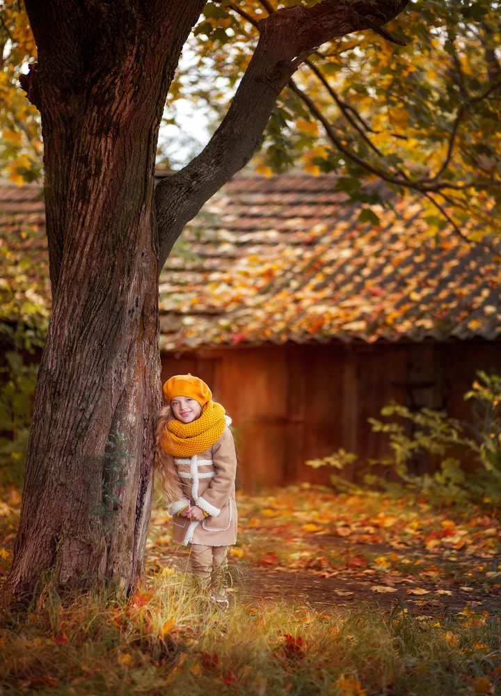 Когда деревья были большими...