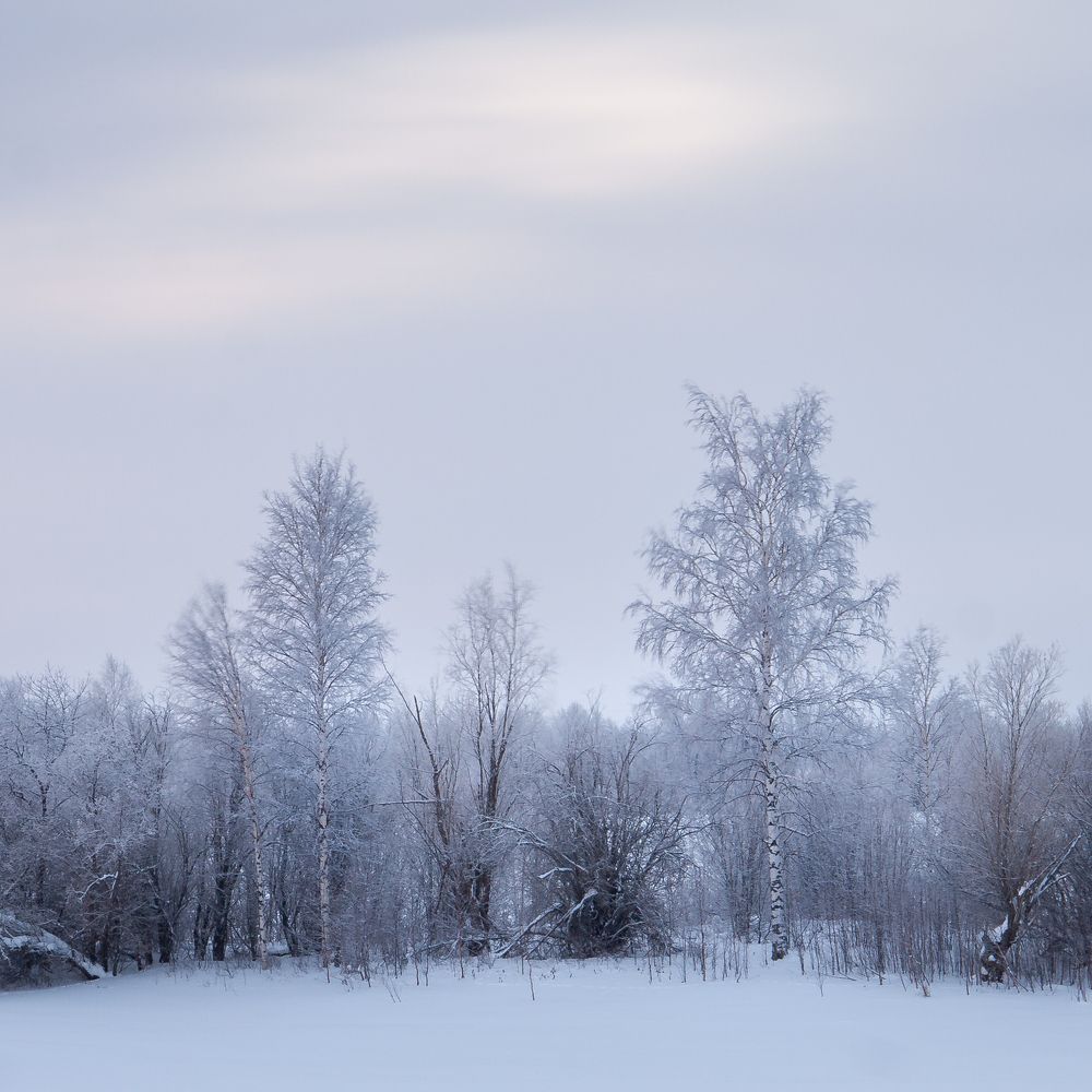 Зимний пейзаж.