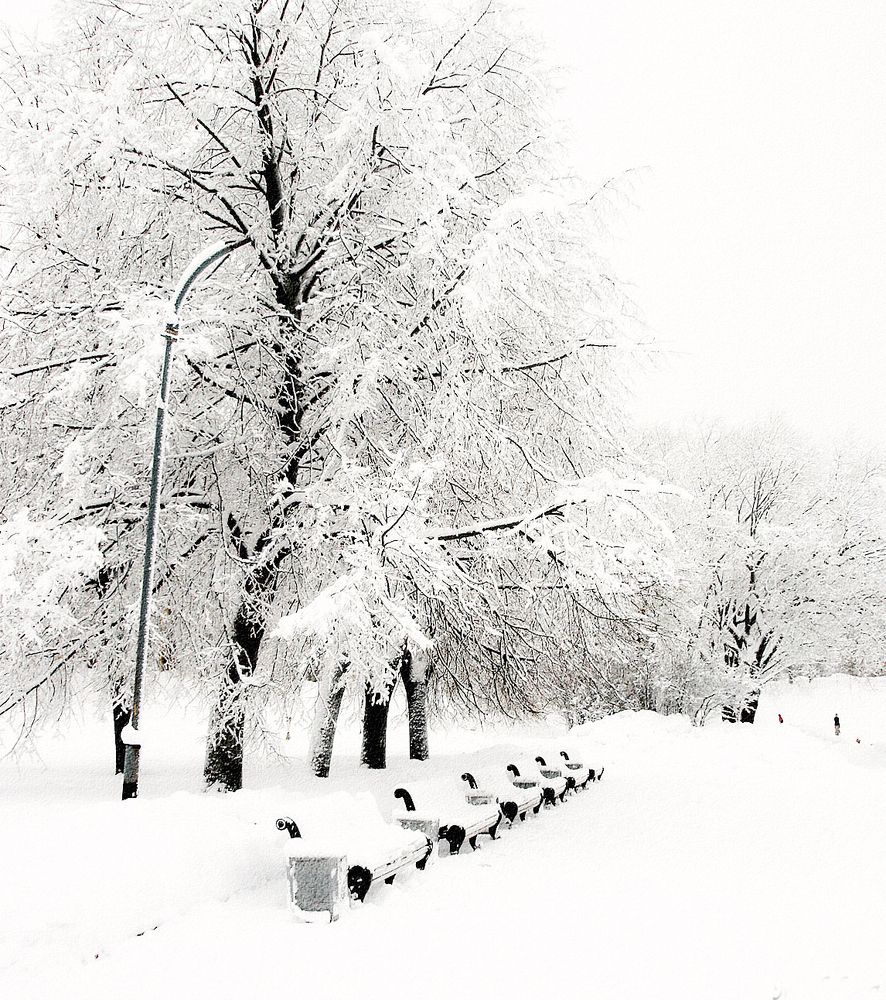 Зимнее настроение