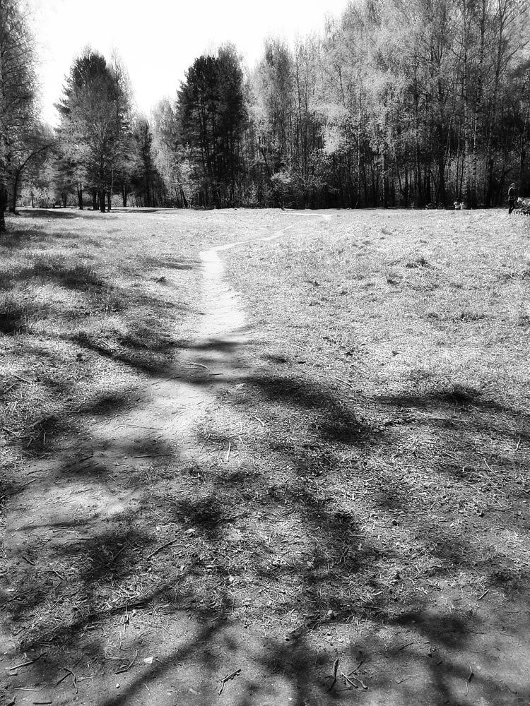 Photograph by Людмила М