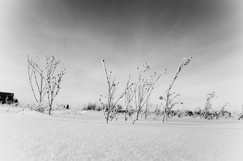 Photograph by Пивоварова Екатерина