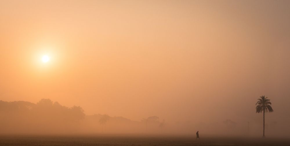 misty morning