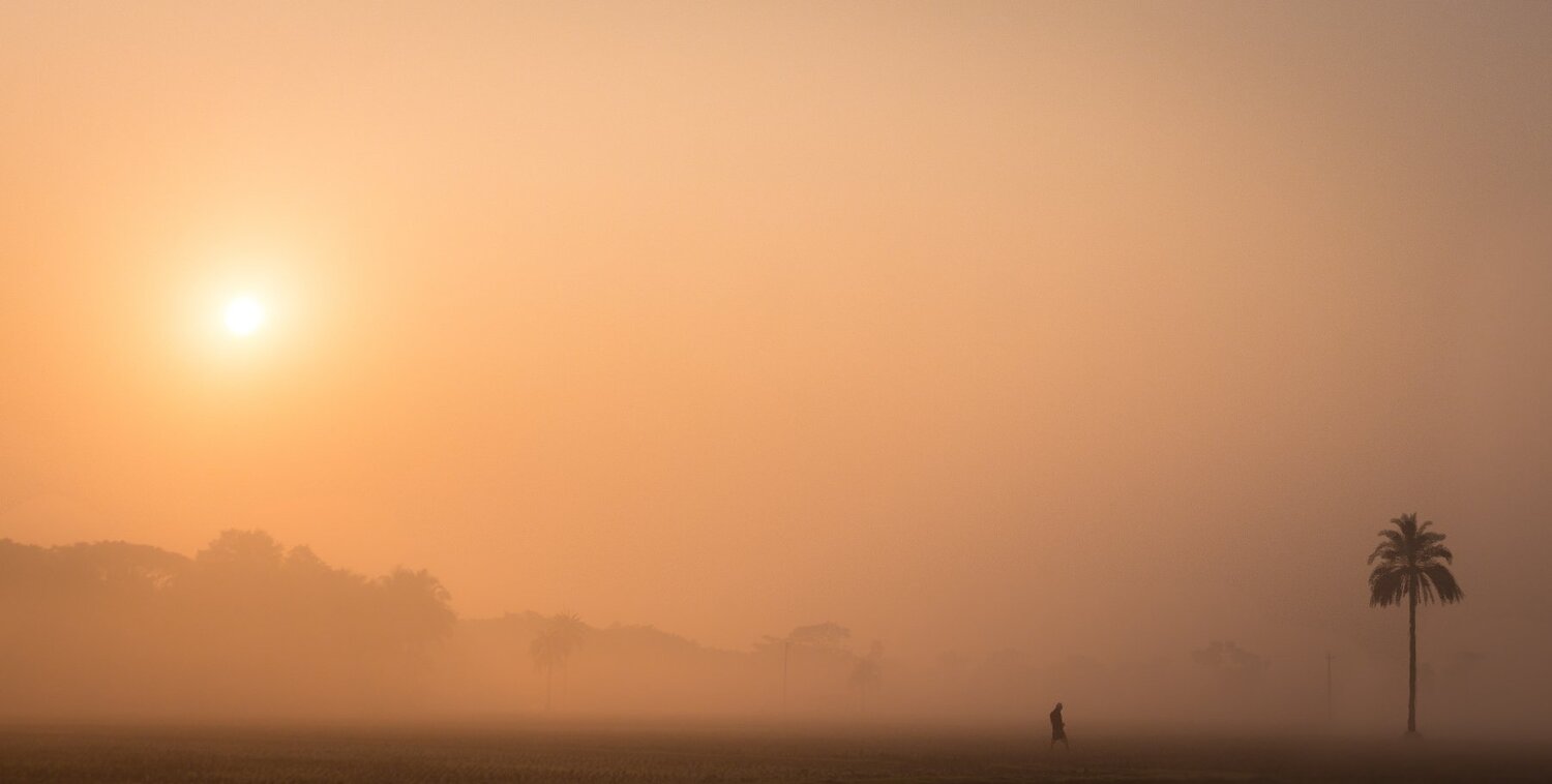 misty morning