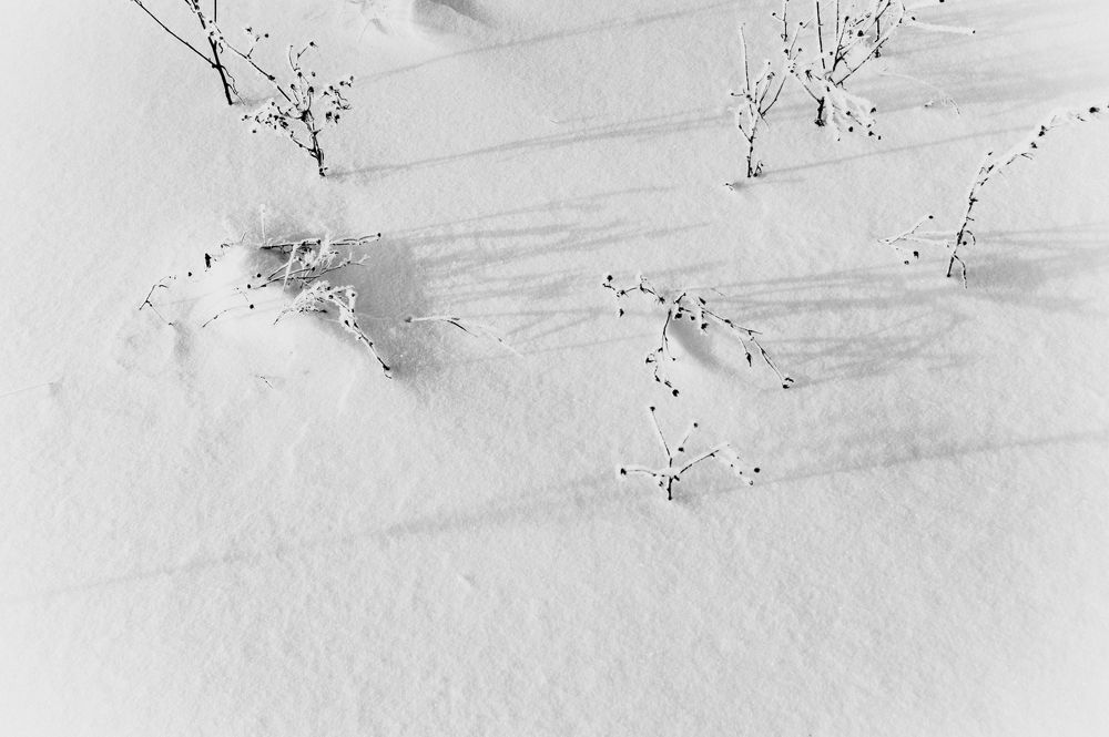 Photograph by Пивоварова Екатерина