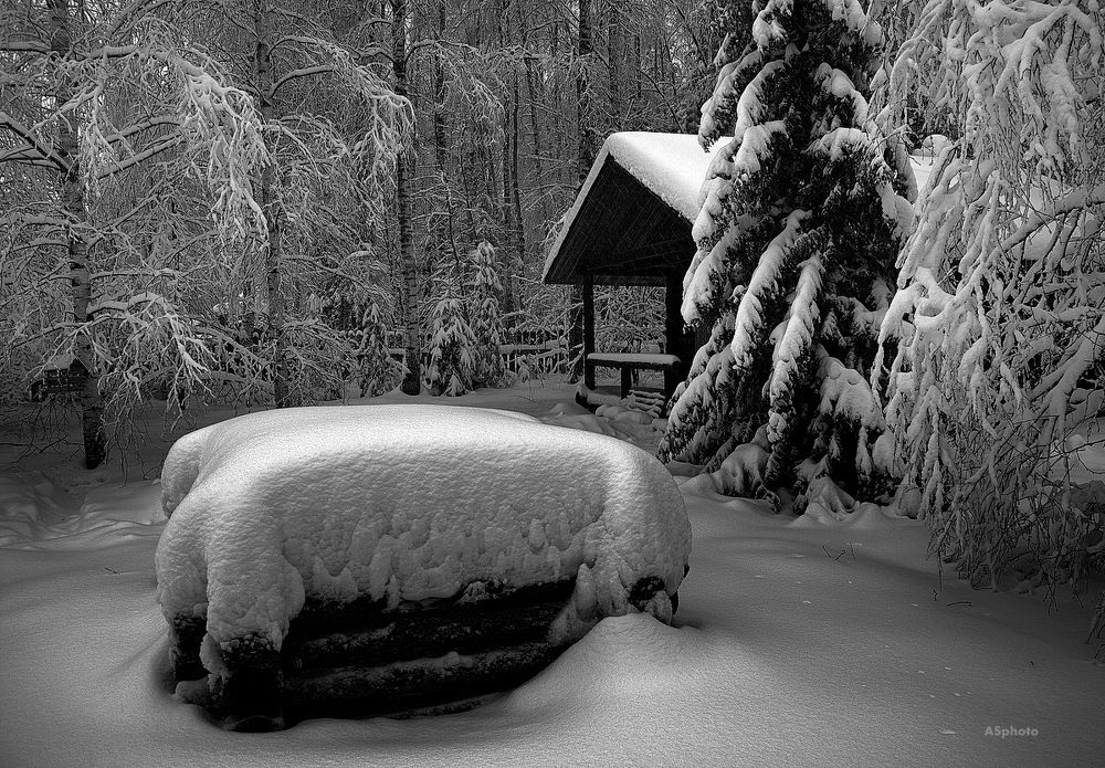 В гостях у сказки