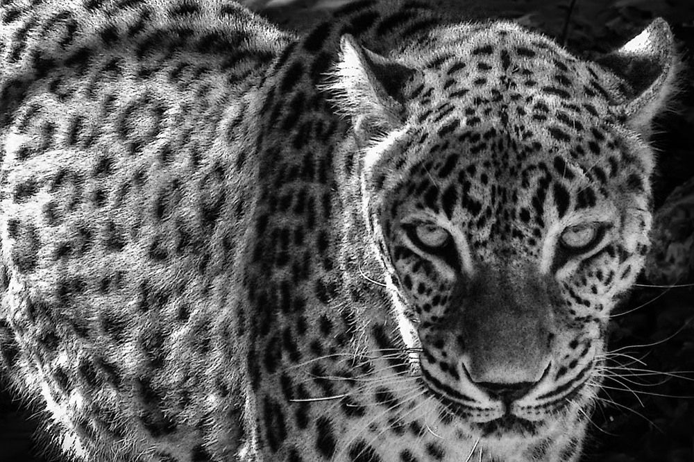 Photograph by Stas McRany