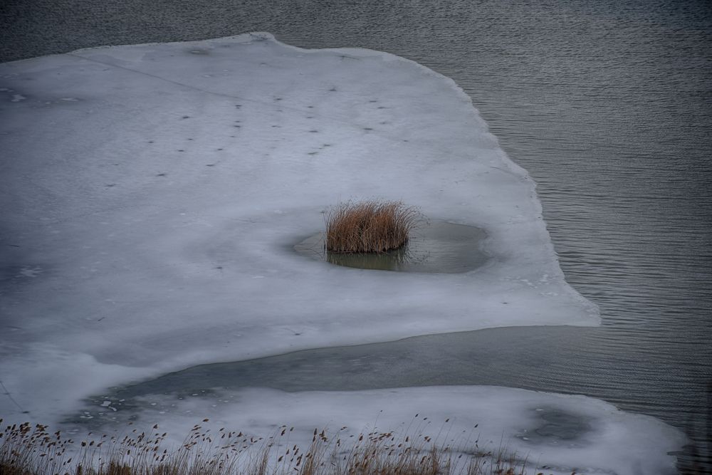 Like a whale _ frozen lake view_Prespe