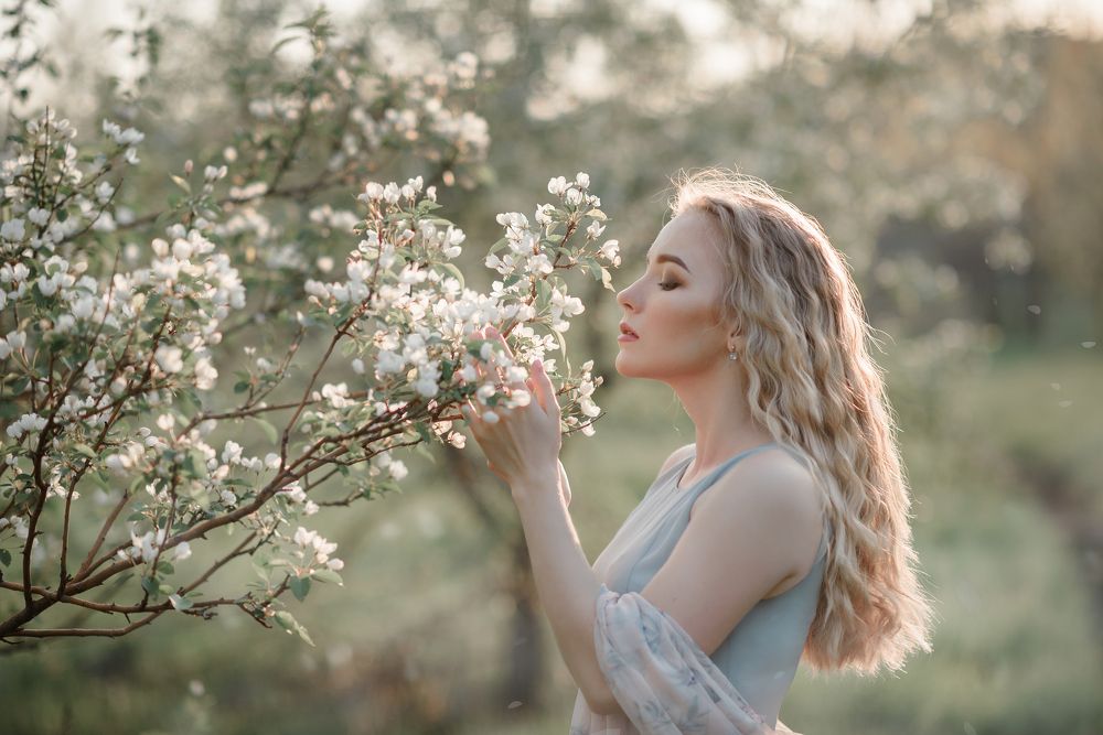 Вся моя нежность