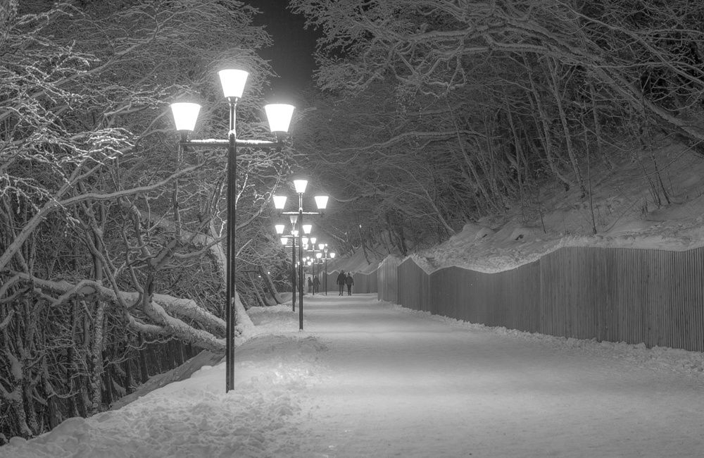 Никольская сопка .