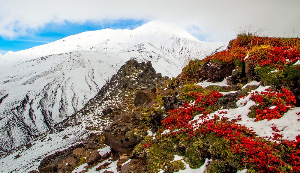 Краски Камчатки.