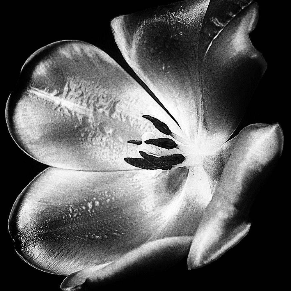 Photograph by Stas McRany