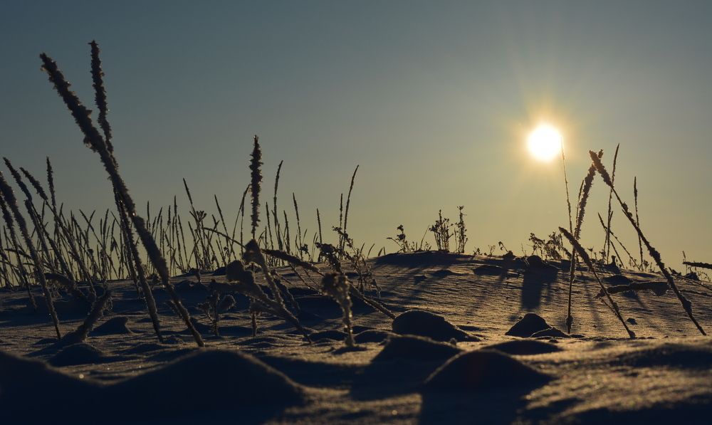 Зимние тени!