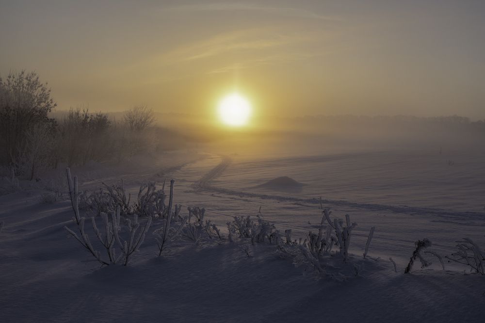 Морозный туман солнечным утром