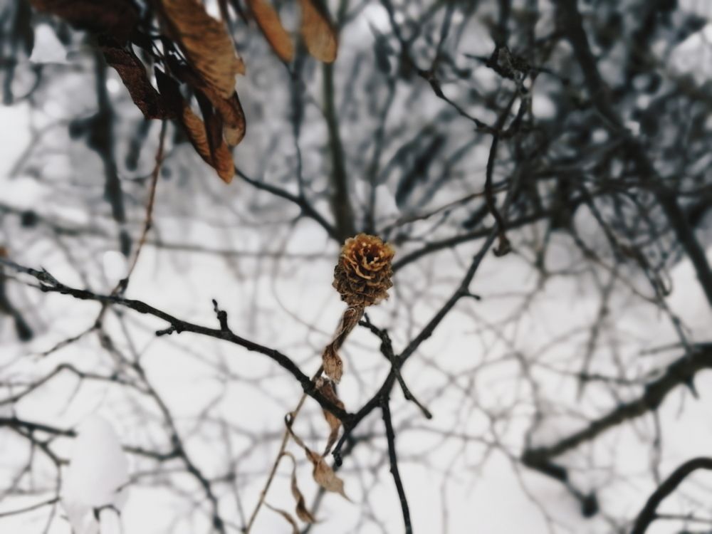 Photograph by Анастасия Аргунова
