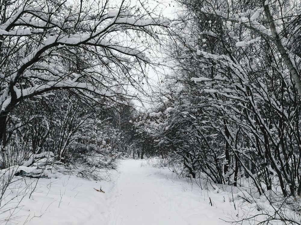 Photograph by Анастасия Аргунова