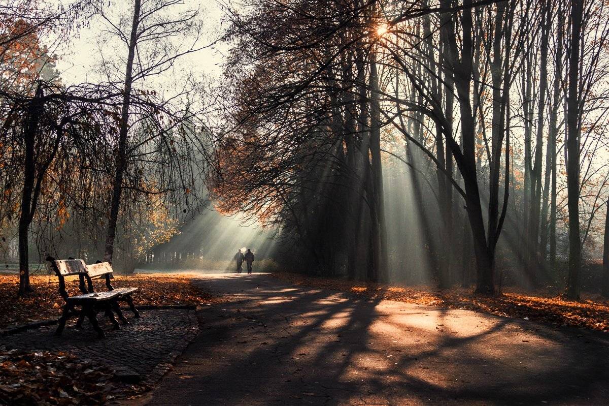 В парке...