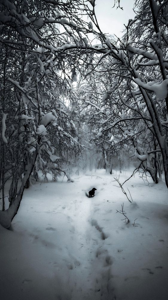 На прогулке