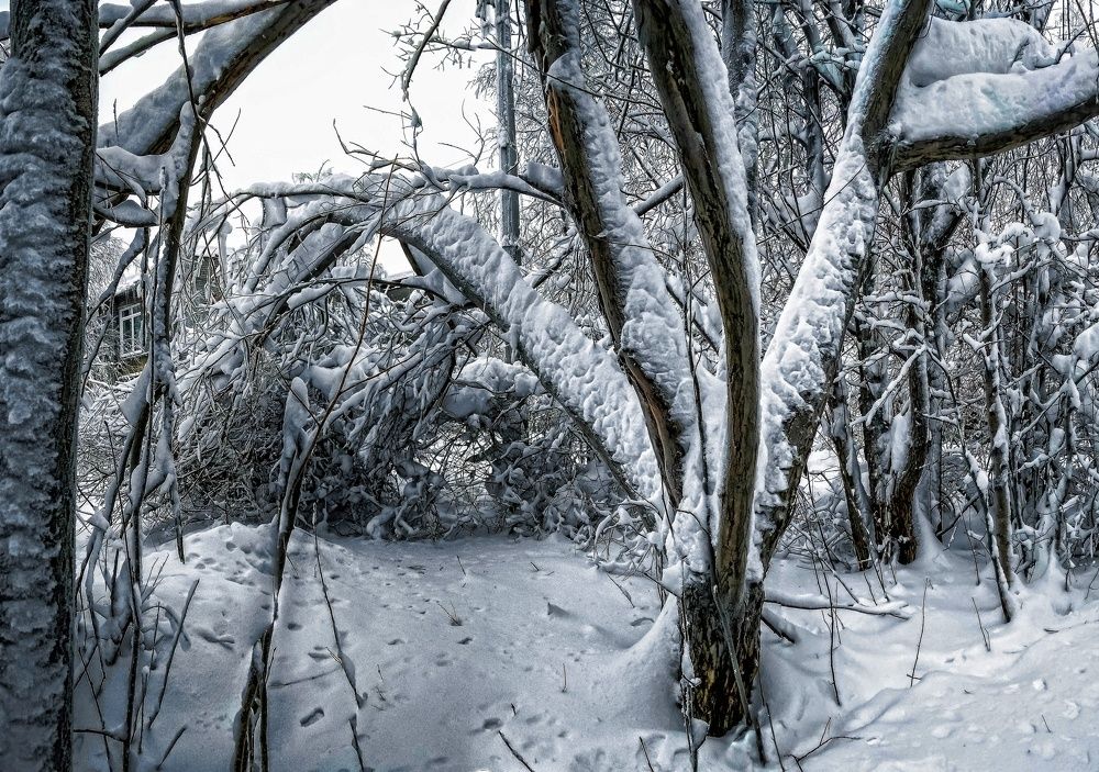 Photograph by Никита Сайкин