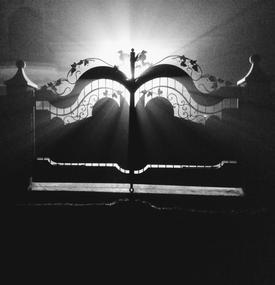 Foggy Noire