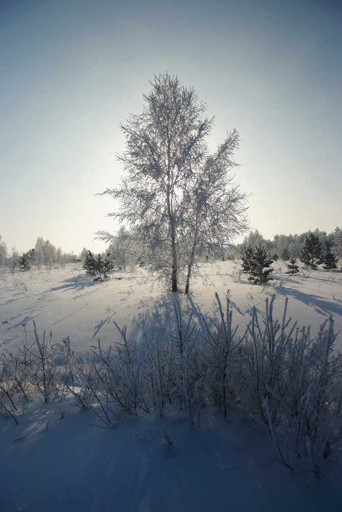 Бельмесёво