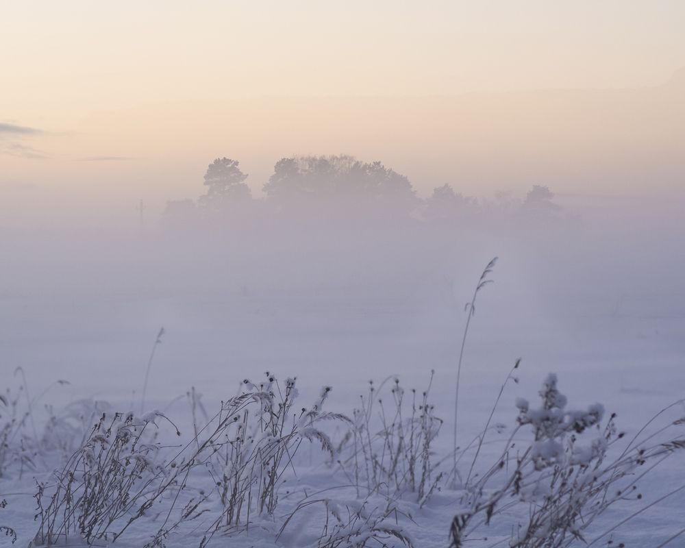 Сквозь туман