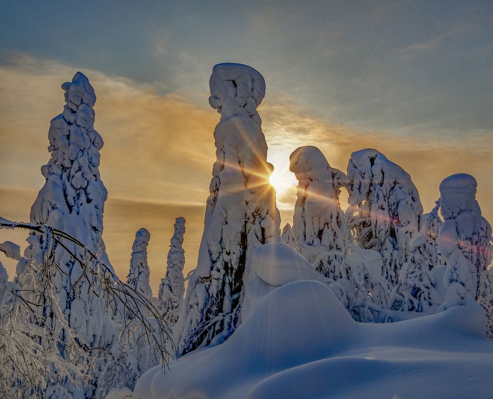 "Терракотовая армия" Полюда