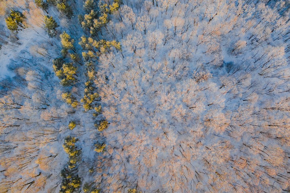 Photograph by Сергей Морозов