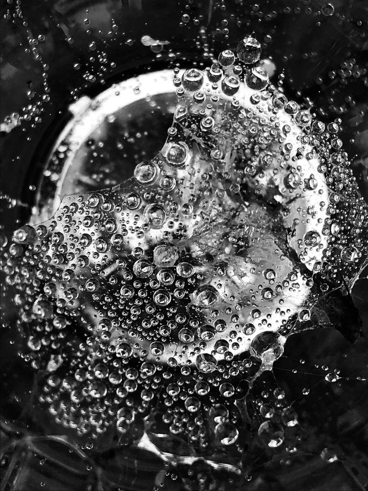 Drops