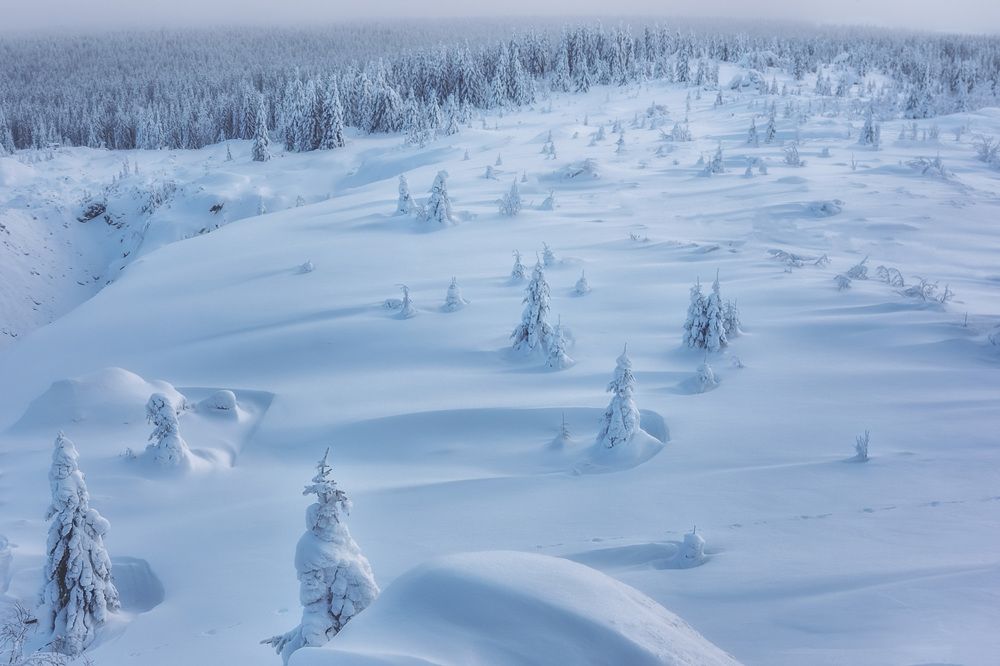 Снежный отряд