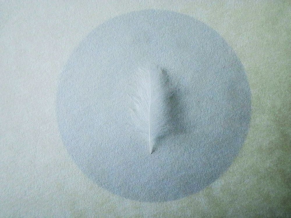 White shadow