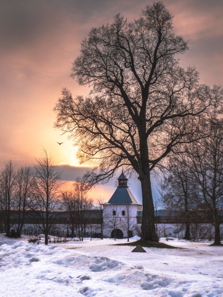 Свет предвечерний