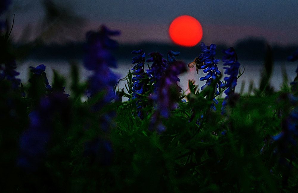 Photograph by Вера Васютина