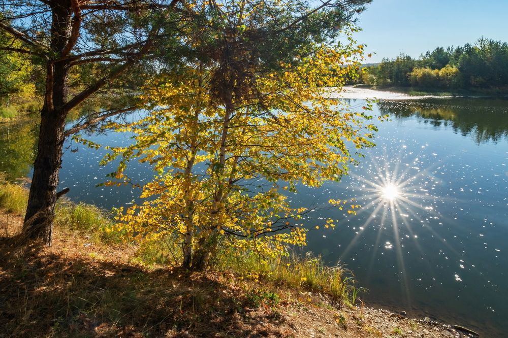 Купание лучей