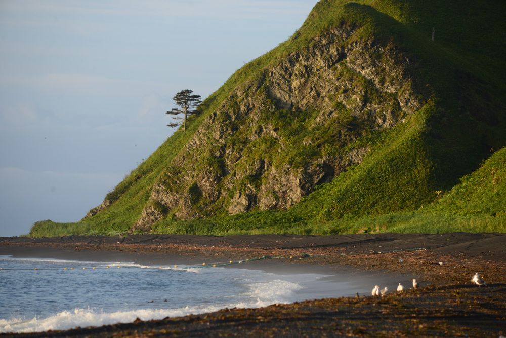 Одиночество на краю света
